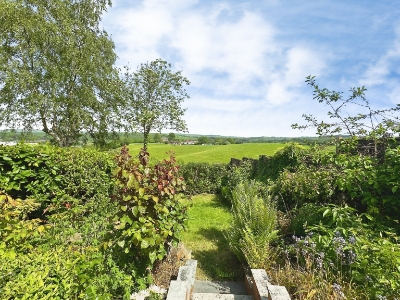Picture 20